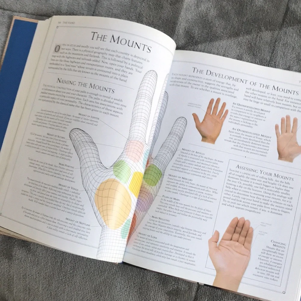 Palmistry — Lori Reid ✋✨
